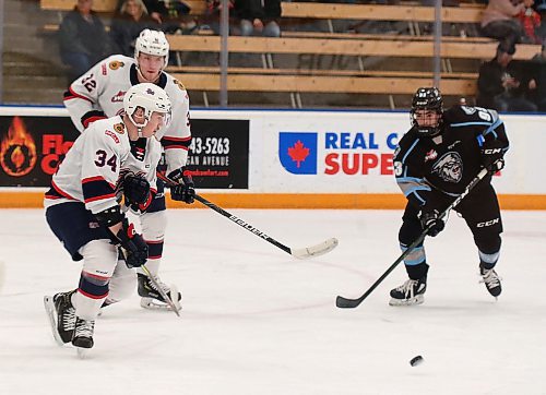 SHANNON VANRAES / WINNIPEG FREE PRESS
Riley Krane and Robbie Holmes of the Regina Pats race Matthew (Matt) Savoie of the Winnipeg Ice for the puck during a game at the Wayne Fleming Arena on December 6, 2019.