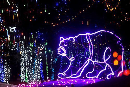 SHANNON VANRAES / WINNIPEG FREE PRESS
An illuminated polar bear sculpture at Assiniboine Park Zoo's inaugural Zoo Lights Festival on December 12, 2019.