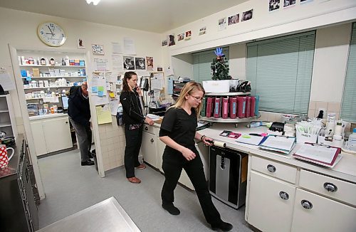 SHANNON VANRAES / WINNIPEG FREE PRESS
Staff at the Winnipeg Animal Emergency Hospital move quickly as new patients are brought to the hospital on December 14th, 2019.
