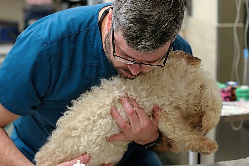 SHANNON VANRAES / WINNIPEG FREE PRESS
Steve Brown, a registered veterinary technician, carries a canine patient to an examine table at the Winnipeg Animal Emergency Hospital on December 14, 2019.