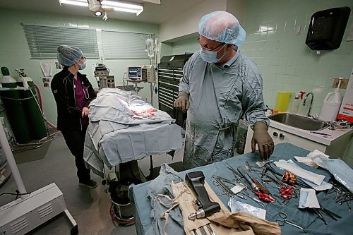 SHANNON VANRAES / WINNIPEG FREE PRESS
Sterile tools, including drills, clamps and screwdrivers, are laid out in an operating room at the Winnipeg Animal Emergency Hospital on December 14, 2019, as Dr. David Scammell and Julia Augustus, a registered veterinary technologist, work to repair a dog's broken hind leg.