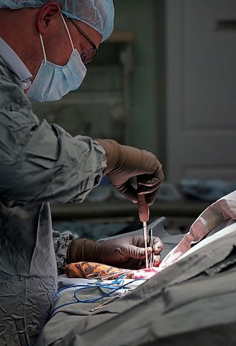 SHANNON VANRAES / WINNIPEG FREE PRESS
Dr. David Scammell uses a sterile screwdriver to remove a broken steel plate from the hind leg of a dog named Peaches at the Winnipeg Animal Emergency Hospital on December 14, 2019.