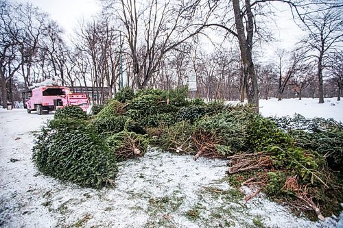 MIKAELA MACKENZIE / WINNIPEG FREE PRESS

The Christmas tree drop-off depot in Kildonan Park in Winnipeg on Thursday, Jan. 2, 2020. For Ariel Gordon story.
Winnipeg Free Press 2019.