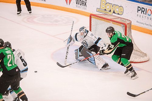 Mike Sudoma / Winnipeg Free Press
Winnipeg Ice Goalie, Jesse Makai makes a pad save against the Prince Albert Raiders Sunday evening at Wayne Fleming Arena
January 5, 2020