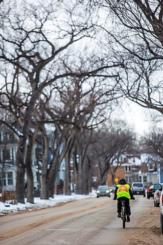 MIKAELA MACKENZIE / WINNIPEG FREE PRESS

A cyclist goes down Westminster in Wolseley in Winnipeg on Tuesday, Jan. 7, 2020. For Maggie Macintosh story.
Winnipeg Free Press 2019.