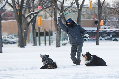 MIKE DEAL / WINNIPEG FREE PRESS
Jarrett Petit throws a ball for Oakley and Gemma to chase down in one of their favourite spots, Saint Johns Park, Thursday afternoon. 
200116 - Thursday, January 16, 2020