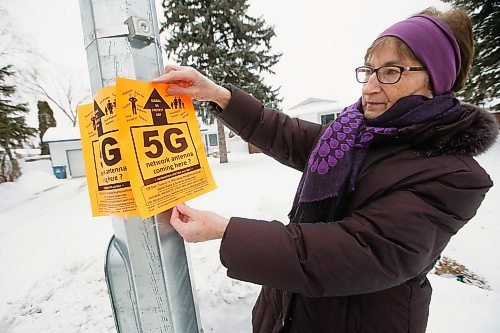 JOHN WOODS / WINNIPEG FREE PRESS
Margaret Friesen, a retired federal biologist, posts an information bulletin about the health dangers related to 5G cell technology to the lamppost in her Winnipeg neighbourhood Wednesday, January 22, 2020. Friesen is the local lead on an international movement opposed the deployment of 5G telecommunications networks because of the uncertainty regarding heath concerns. 5G networks will necessitate the erection of 10s of thousands of small antennae and satellites. Friesen and others believe regulations should require buried fibre optic cables rather than wireless towers.

Reporter: Cash