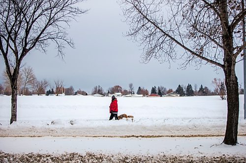 MIKAELA MACKENZIE / WINNIPEG FREE PRESS

Wyatt Everette walks his dog, Buck, on Burrows Avenue by Tyndall Park in Winnipeg on Friday, Jan. 24, 2020. Standup.
Winnipeg Free Press 2019.