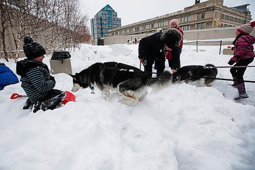 JOHN WOODS / WINNIPEG FREE PRESS
Spike and Giles, siberian huskies, like to greet everyone at the annual Arctic Chill Out at the Winnipeg Art Gallery in Winnipeg Sunday, January 26, 2020. Arctic Chill Out celebrates Inuit art, culture and games,

Reporter: ?