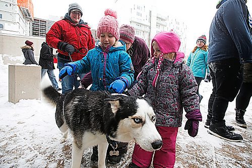 JOHN WOODS / WINNIPEG FREE PRESS
Dog handler Amber Foster, left, brought Spike over to greet Sophie (blue) and Aster Ludwick and their aunt Andrea Mantler at the annual Arctic Chill Out at the Winnipeg Art Gallery in Winnipeg Sunday, January 26, 2020. Arctic Chill Out celebrates Inuit art, culture and games,

Reporter: ?