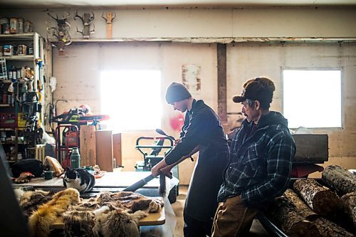 MIKAELA MACKENZIE / WINNIPEG FREE PRESS

Devin Imrie fleshes a marten while his dad, Murray Imrie, watches in his shop near Falcon Lake, Manitoba on Tuesday, Jan. 28, 2020. This step in the process removes all the excess flesh and fat left on the skin.
Winnipeg Free Press 2019.