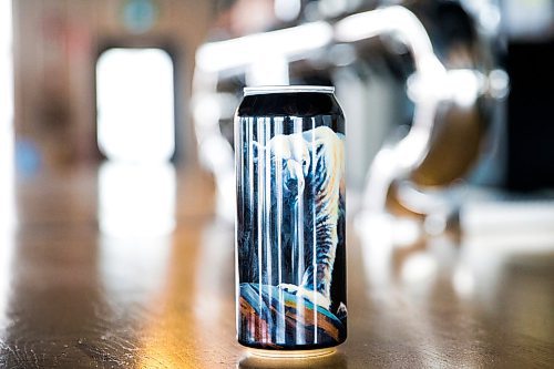 MIKAELA MACKENZIE / WINNIPEG FREE PRESS

The new Arctic Stout at Torque Brewing Co in Winnipeg on Monday, Feb. 10, 2020. The special edition beer is part of Blank Canvas Beer Co., which brings artists and brewers together. For Ben MacPhee-Sigurdson story.
Winnipeg Free Press 2019.