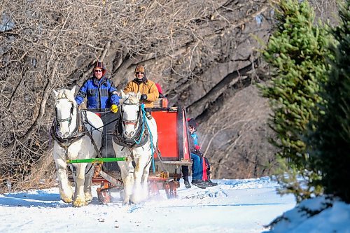 Daniel Crump / Winnipeg Free Press. Visitors to Festival du Voyageur take a sleigh ride around Whittier Park Saturday afternoon. February 15, 2020.