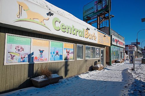 MIKE DEAL / WINNIPEG FREE PRESS
Central Bark at 1335 Portage Avenue is moving into the recently-closed Pet Traders next door which will give them about twice as much space.
200218 - Tuesday, February 18, 2020.