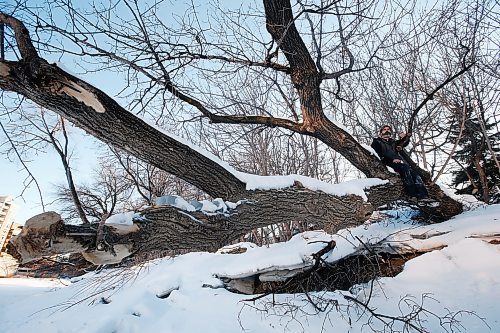 JOHN WOODS / WINNIPEG FREE PRESS
Ash Raichura is photographed with some of his favourite trees on his Assiniboine River property in Winnipeg Wednesday, February 19, 2020. 

Reporter: Gordon