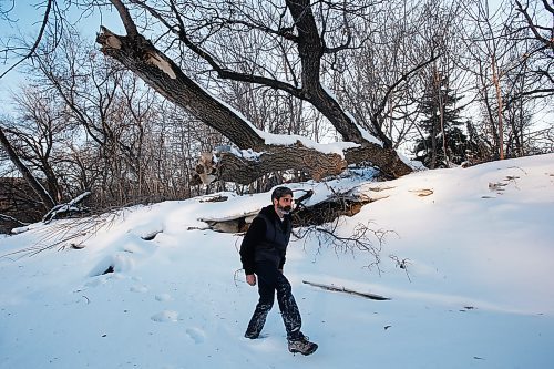 JOHN WOODS / WINNIPEG FREE PRESS
Ash Raichura is photographed with some of his favourite trees on his Assiniboine River property in Winnipeg Wednesday, February 19, 2020. 

Reporter: Gordon