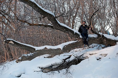 JOHN WOODS / WINNIPEG FREE PRESS
Ash Raichura is photographed with some of his favourite trees on his Assiniboine River property in Winnipeg Wednesday, February 19, 2020. 

Reporter: Gordon