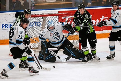 JOHN WOODS / WINNIPEG FREE PRESS
Winnipeg Ice goaltender Gage Alexander (29) saves the shot against the Edmonton Oil Kings during second period WHL action in Winnipeg on Wednesday, February 19, 2020.