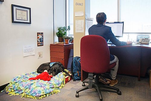 MIKE DEAL / WINNIPEG FREE PRESS
Milan, a victim services intervention dog with Manitoba Justice, and her handler victim services worker, Vivian Bott, in the Woodworth building.  
200220 - Thursday, February 20, 2020.
