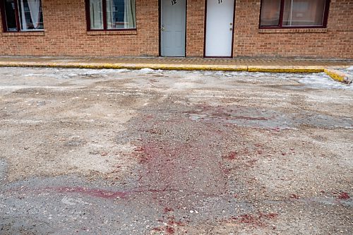 Daniel Crump / Winnipeg Free Press.¤Blood stains the parking lot of the Capri Motel on Pembina hwy where four dogs viciously attacked several people. February 29, 2020.
