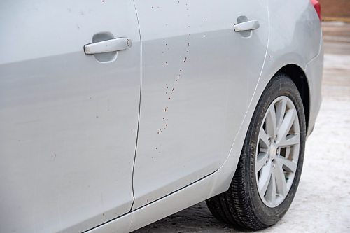 Daniel Crump / Winnipeg Free Press. Blood splatter on a car at the Capri Motel on Pembina hwy at the site where several people were seriously attacked by dogs. February 29, 2020.