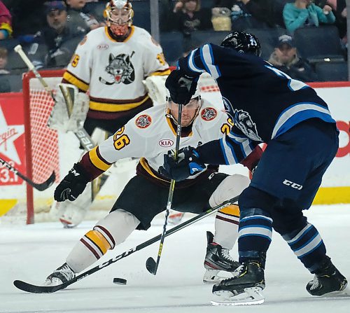 Phil Hossack / Winnipeg Free Press - Manitoba moose#23 Michael Spacek manouvres the puck as Chicago Wolves #26 Dan DeSalvo tracks the puck  Saturday afternoon. February 29, 2020