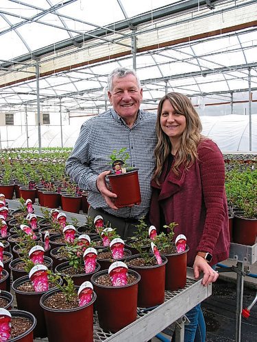 Canstar Community News March 4, 2020 - Wilbert Ronald and daughter Shawna Bell are shown in one of the greenhouses that the family owns and operates under the name, Jeffries Nurseries in the RM of Portage la Prairie. (ANDREA GEARY/CANSTAR COMMUNITY NEWS)