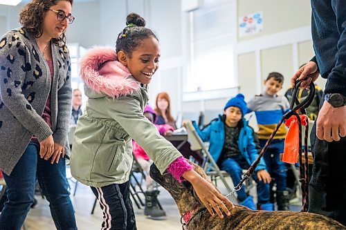 MIKAELA MACKENZIE / WINNIPEG FREE PRESS

Feruz, 11, pets Gemma (the first time touching a dog) in the NEEDS class introducing dogs and pet ownership to newcomers in Winnipeg on Monday, March 9, 2020. For Eva Wasney story.
Winnipeg Free Press 2019.