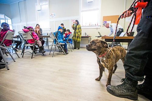 MIKAELA MACKENZIE / WINNIPEG FREE PRESS

Austin Olek, animal resources officer, and dog Gemma visit the NEEDS class to introduce dogs and pet ownership to the newcomers in Winnipeg on Monday, March 9, 2020. For Eva Wasney story.
Winnipeg Free Press 2019.