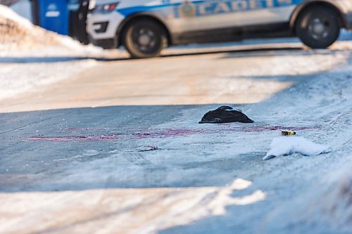 MIKAELA MACKENZIE / WINNIPEG FREE PRESS

The scene of an officer-involved shooting on the 100 block of Kowalsky Crescent in Charleswood in Winnipeg on Tuesday, March 10, 2020. 
Winnipeg Free Press 2019.