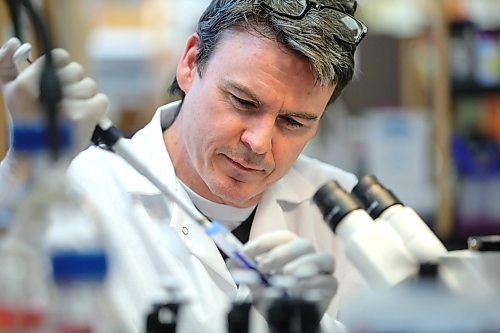 RUTH BONNEVILLE / WINNIPEG FREE PRESS
Local - U of M COVID - 19 Researcher Dr. Mark.
Photos of Dr. Brian Mark, professor/associate dean at the U of M., working in his lab on cultured animal cells as part of his research. He spoke to FP reporter today about federally-funded work developing a COVID-19 vaccine, and how it likely wont be ready or able to fight the current wave.
See Malak Abas story.
March 11th, 2020