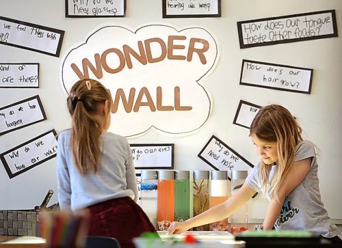 RUTH BONNEVILLE  /  WINNIPEG FREE PRESS 

49.8 Feature 

K-12 ED 49.8 (EARLY YEARS)  DAWSON TR.

Photos for the early years: Grade 1 at Dawson Trail School in St., Lorette, MB.

Janette Weiss (left) and Aubrie Wertepny work at the Wonder Wall in Kelly McLure's grade 1 class at Dawson Trail School on Tuesday. 

Mrs. McLure's emphasis on inquiry-based learning. It's becoming increasingly popular in the province's classrooms - teachers creating lessons centered around student-driven ideas and questions.  For instance, her class is learning about the five senses by asking questions. They're on one of the Wonder Wall boards, including "Why do we have boogers?" 
?
See Maggie Macintosh story: K-12 ED 49.8  Ahead of the massive K-12 public education review.


March 18th, 2020
