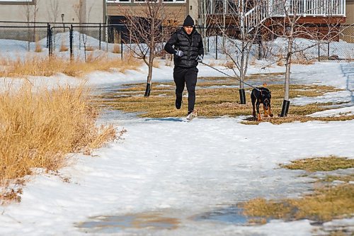 MIKE DEAL / WINNIPEG FREE PRESS
Winnipeg Blue Bombers Andrew Harris out for a run with his 7-month-old rottweiler, Zeus, near his home Wednesday morning. He is maintaining his health and and getting ready for what he hopes will be a CFL season in the summer.
200325 - Wednesday, March 25, 2020.