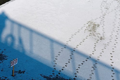 JESSE BOILY / WINNIPEG FREE PRESS
Canada goose prints lead up to a thin ice sign at Omand park on Thursday, March 26, 2020. 
Reporter: