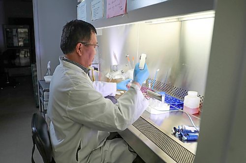 RUTH BONNEVILLE  /  WINNIPEG FREE PRESS 


Local -  Vaccine,  XiaoJian Yao


Photos of XiaoJian Yao, by himself, working in his research lab performing experiments aimed to check the expression of the RBD derived from COVID-19 spike protein in cells at the Dept. of Medical Microbiology Max Rady College of Medicine on Friday. 

University of Manitoba professor Xiao-Jian Yao is leading a team of researchers in the fight against COVID-19. Yao and his research team are employing patented university technology that showed some efficacy in the fight against SARS to develop a vaccine, or vaccine components, for COVID-19 with funding from the federal government.

Profile on Yao, his background, past academic pursuits and learn how the professor, who started his academic career in China, is at the forefront of coronavirus research here in Winnipeg.

Danielle Da Silva - Reporter 

March 27th, 2020