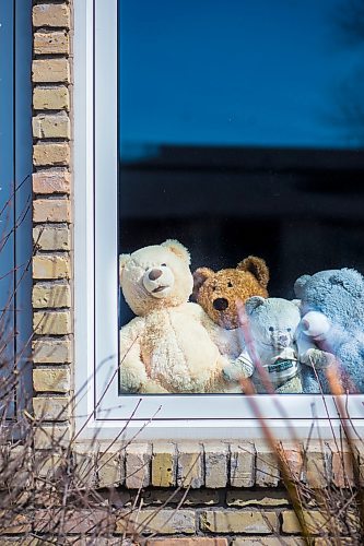 MIKAELA MACKENZIE / WINNIPEG FREE PRESS

Sheilah Restall, who sparked a new initiative called the Great Winnipeg Bear Hunt, poses for a portrait in her front window in Winnipeg on Monday, March 30, 2020. She's encouraging Winnipeggers to put teddy bears in their windows to give kids something to hunt for on neighbourhood walks.
Winnipeg Free Press 2020