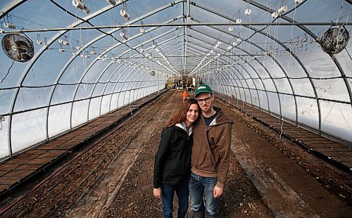 JOHN WOODS / WINNIPEG FREE PRESS
Jeff Veenstra and his partner Janna, owners of Wild Earth Farms, are photographed in their vegetable greenhouse just north of Oakbank Monday, March 30, 2020. Veenstra, who mainly sells to restaurants, is part of a group of farmers who find it hard to do business during this COVID-19 pandemic.

Reporter: Lawrynuik