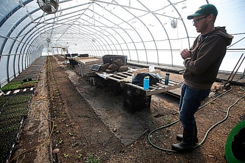 JOHN WOODS / WINNIPEG FREE PRESS
Jeff Veenstra, owner of Wild Earth Farms, is photographed inside his vegetable greenhouse just north of Oakbank Monday, March 30, 2020. Veenstra, who mainly sells to restaurants, is part of a group of farmers who find it hard to do business during this COVID-19 pandemic.

Reporter: Lawrynuik