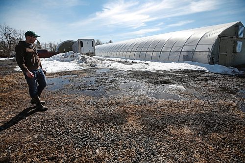 JOHN WOODS / WINNIPEG FREE PRESS
Jeff Veenstra, owner of Wild Earth Farms, is photographed outside his vegetable greenhouse just north of Oakbank Monday, March 30, 2020. Veenstra, who mainly sells to restaurants, is part of a group of farmers who find it hard to do business during this COVID-19 pandemic.

Reporter: Lawrynuik