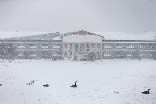 MIKAELA MACKENZIE / WINNIPEG FREE PRESS

The Kapyong barracks in Winnipeg on Thursday, April 2, 2020. Standup.
Winnipeg Free Press 2020