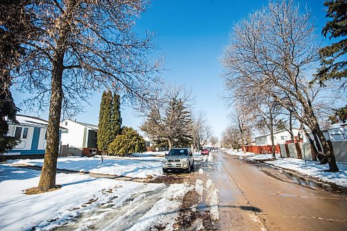 MIKAELA MACKENZIE / WINNIPEG FREE PRESS

The 100 block of Snowdon Avenue, where police made a homicide/child abuse arrest, in Winnipeg on Monday, April 6, 2020. 
Winnipeg Free Press 2020