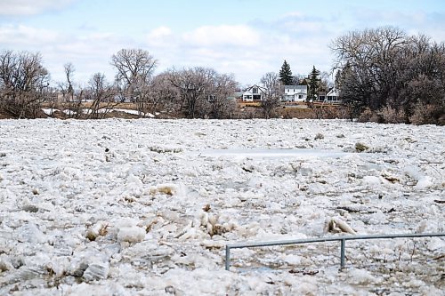 Daniel Crump / Winnipeg Free Press. High water levels and an ice jam at a bend in the Assiniboine River just east of Assiniboine Park. April 11, 2020.