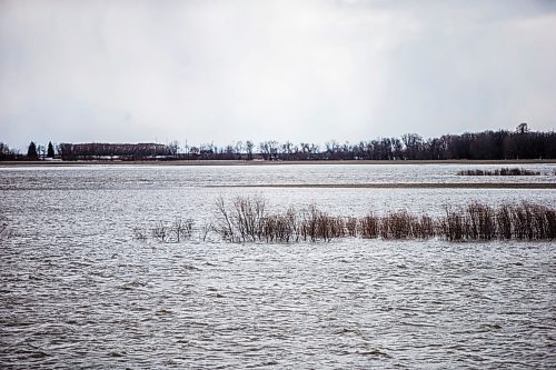 MIKAELA MACKENZIE / WINNIPEG FREE PRESS

High water floods a field south of Winnipeg, near Aubigny, in the municipality of Montcalm on Monday, April 13, 2020. 
Winnipeg Free Press 2020