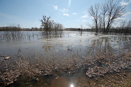 SHANNON VANRAES / WINNIPEG FREE PRESS
Areas along the Morris River have flooded this spring as the river overflows its banks. The community's ring dike may have to be closed.