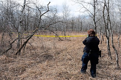 Daniel Crump / Winnipeg Free Press. A Winnipeg Police Service forensic investigator takes photos at a tape of scene in Assiniboine Forrest. Police are investigating an area of the forrest where bones were discovered. April 18, 2020.