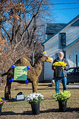 MIKAELA MACKENZIE / WINNIPEG FREE PRESS

Paul Stewart poses for a portrait while putting out 3,700 flower stems (free for passers-by to take home) by Wednesday the Camel in Winnipeg on Thursday, April 23, 2020. For Dave Sanderson story. 
Winnipeg Free Press 2020