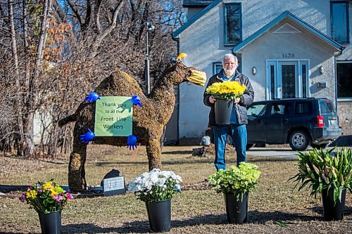 MIKAELA MACKENZIE / WINNIPEG FREE PRESS

Paul Stewart poses for a portrait while putting out 3,700 flower stems (free for passers-by to take home) by Wednesday the Camel in Winnipeg on Thursday, April 23, 2020. For Dave Sanderson story. 
Winnipeg Free Press 2020