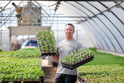 RUTH BONNEVILLE  /  WINNIPEG FREE PRESS 

Ent - Gardening, T&T, Jarrett Davidson

Gardening feature for Saturday's arts front. 

Jarrett Davidson, the president of T&T Seeds with tray of peppers in one of his greenhouses. Davidson has seen their business explode with orders from across Canada, and expects a busy spring as people with nothing to do are heading to their gardens.
 

Story by Alan Small

April 29th,  2020
