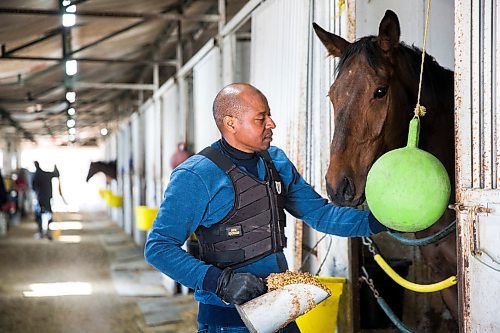 MIKAELA MACKENZIE / WINNIPEG FREE PRESS

Trainer Steve Gaskin feeds lunch to his horses at the Assiniboia Downs in Winnipeg on Wednesday, May 6, 2020. For Mike S story.

Winnipeg Free Press 2020