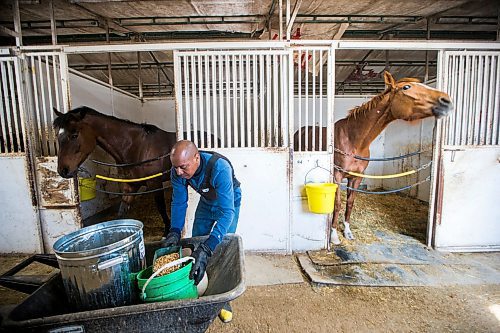 MIKAELA MACKENZIE / WINNIPEG FREE PRESS

Horses are excited to get lunch as trainer Steve Gaskin dishes out oats at the Assiniboia Downs in Winnipeg on Wednesday, May 6, 2020. For Mike S story.

Winnipeg Free Press 2020